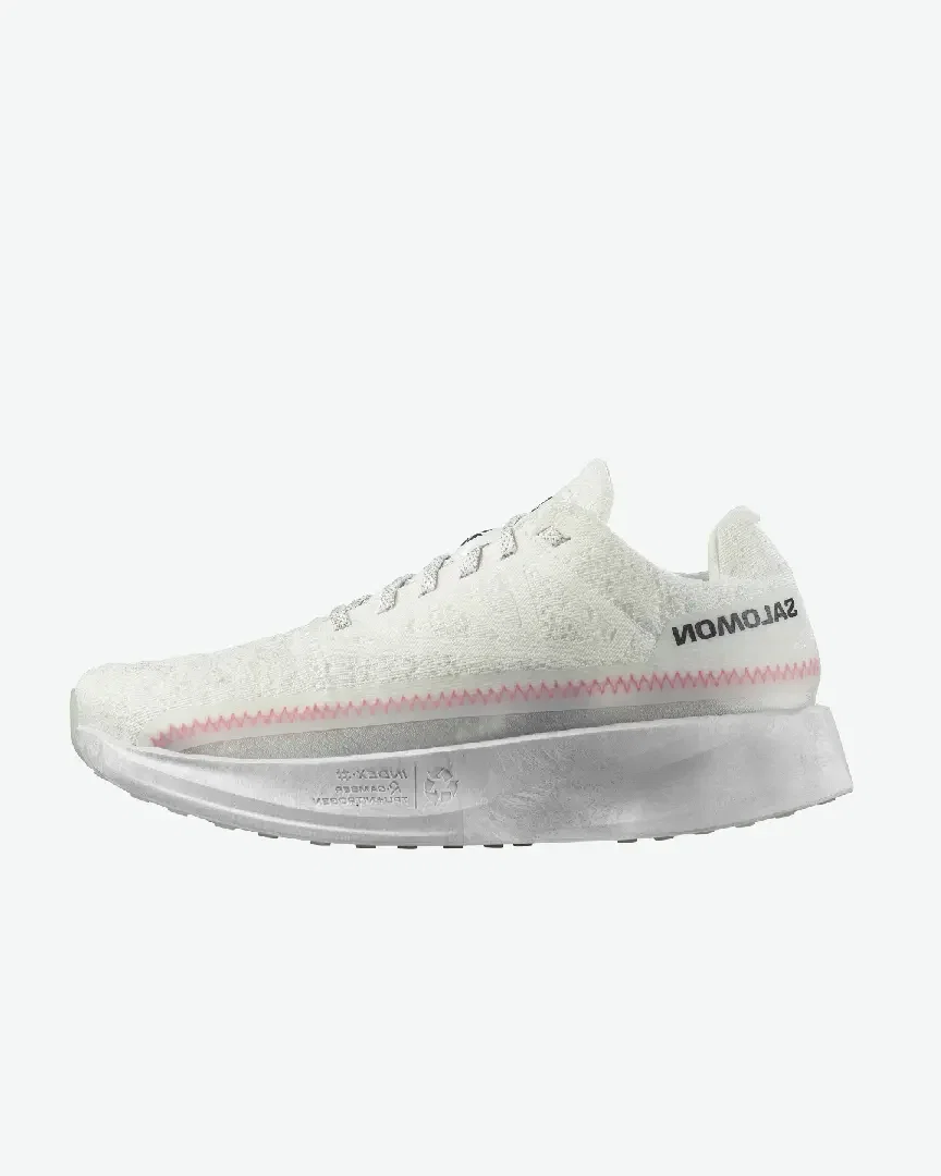 Salomon Index 03