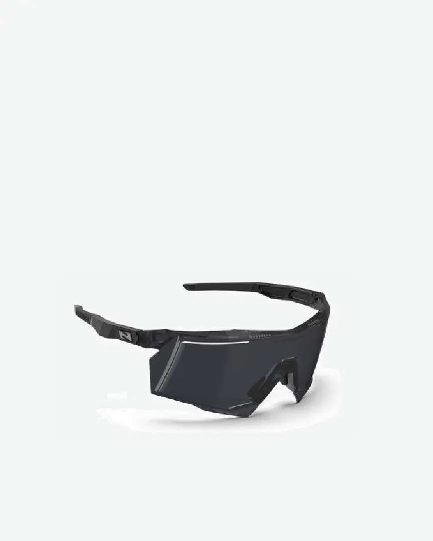 Gafas de sol deportivas Aerostorm negro humo Hombre