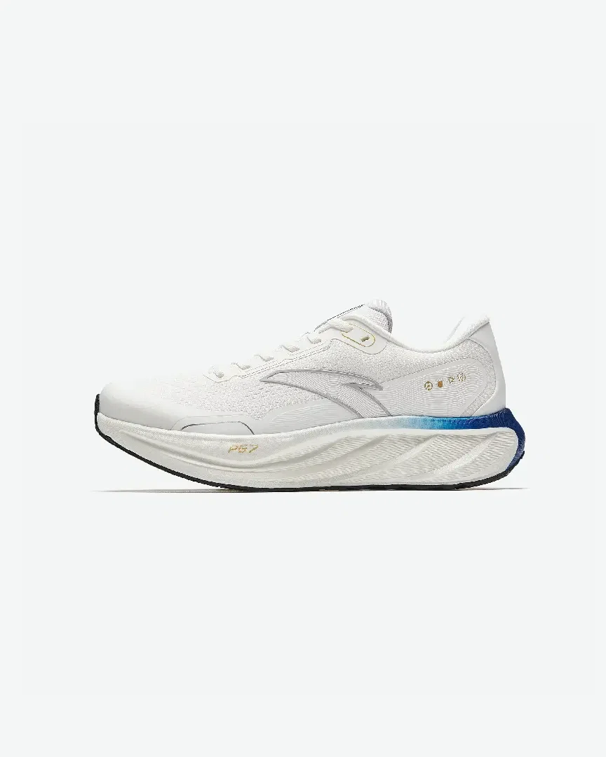Anta Pg7 2.5 M