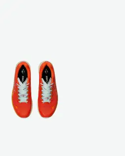 Asics fujispeed 3 Hombre – 4/5