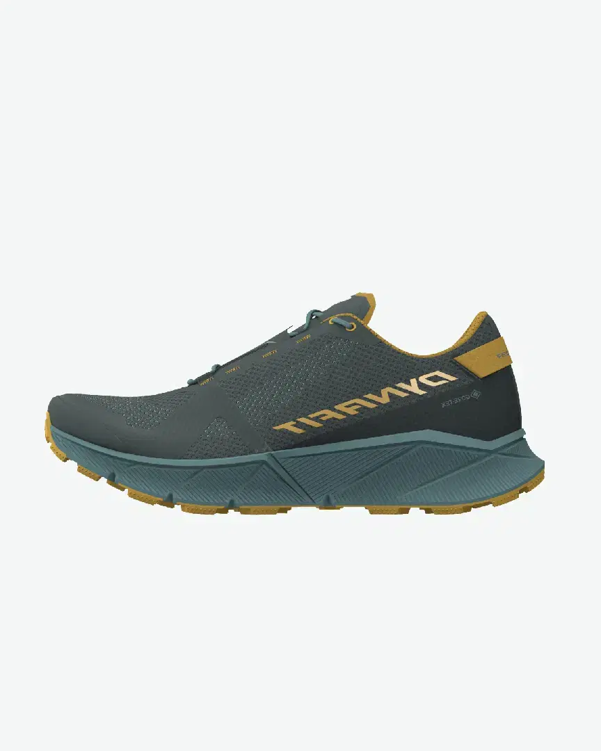 Dynafit Ultra 100 Gtx M - Men (10) au meilleur prix !
