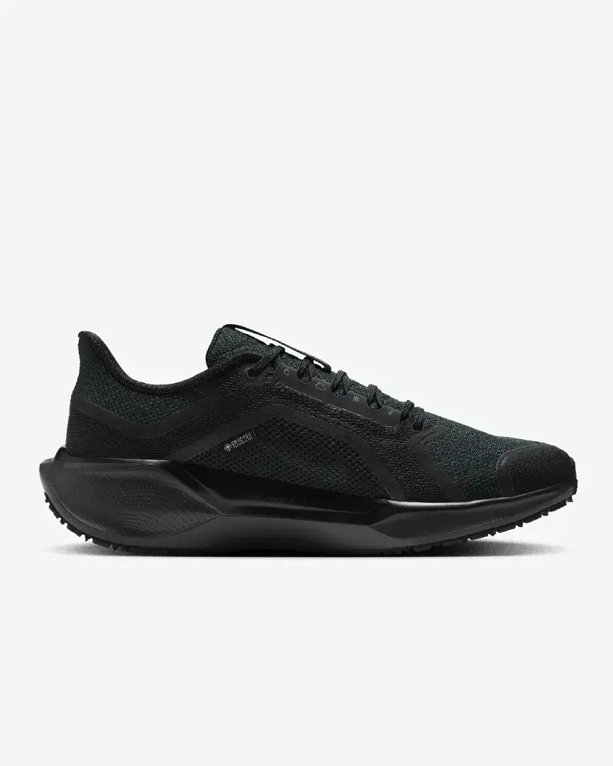 Imperméable Nike Pegasus 41 Gore-Tex M - FQ1356-001 (2) au meilleur prix !