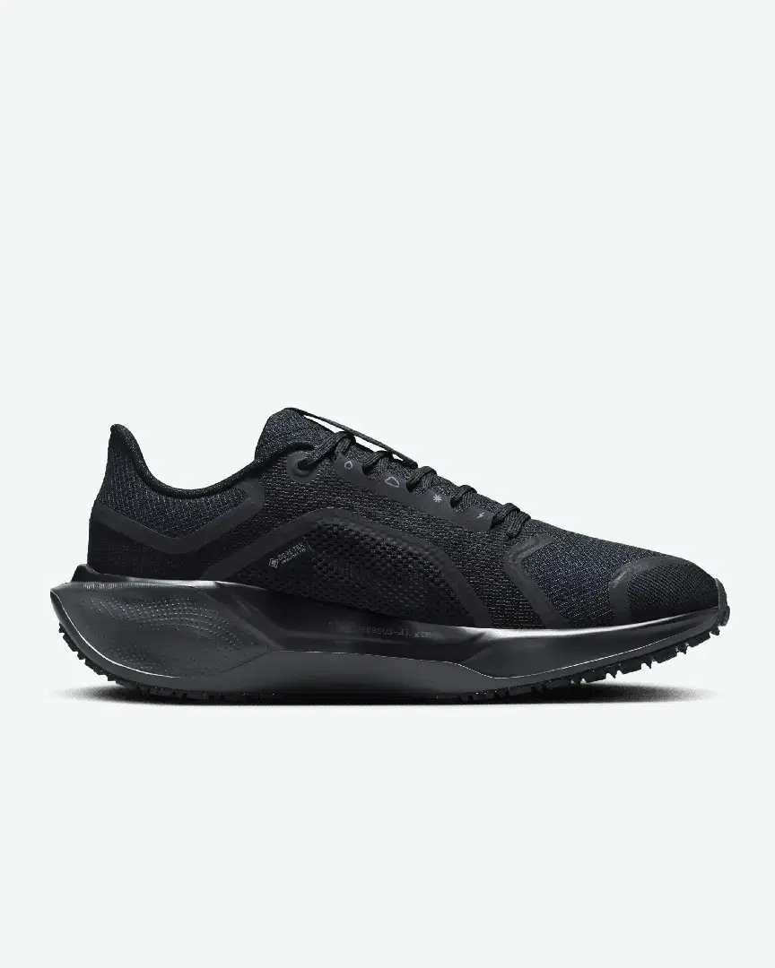 Imperméable Nike Pegasus 41 Gore-Tex W - FQ1357-001 (2) au meilleur prix !