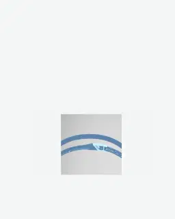 Gafas de natación Speedo Fastskin Pure Focus Espejo Hombre – 4/5