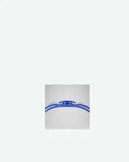 Gafas de natación Speedo Vanquisher 3 0 Hombre – 5/5