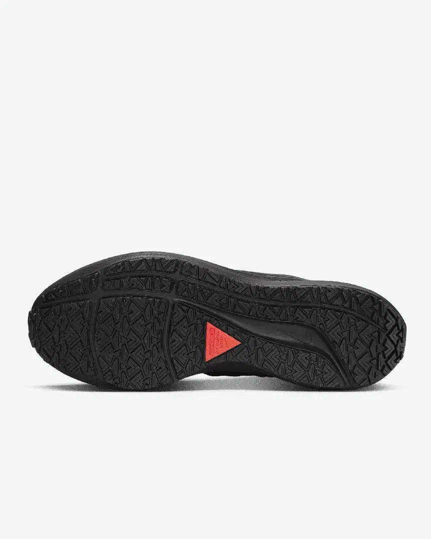 Nike Air Zoom Pegasus 39 Shield M - DO7625-001 (1) au meilleur prix !