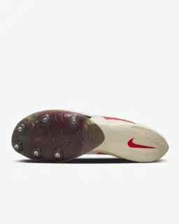 Nike Air Zoom Victory « Eliud Kipchoge » Unisex – 2/4