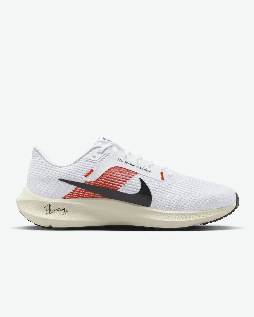 Nike Pegasus 40 « Eliud Kipchoge » M - FJ0686-100 (2) au meilleur prix !
