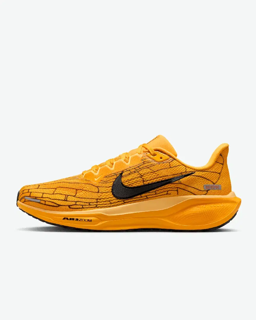 Nike Pegasus 41 Lv8 M - IH3257-700 (0) au meilleur prix !