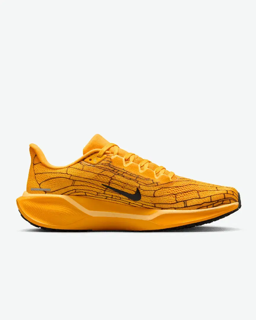 Nike Pegasus 41 Lv8 M - IH3257-700 (2) au meilleur prix !