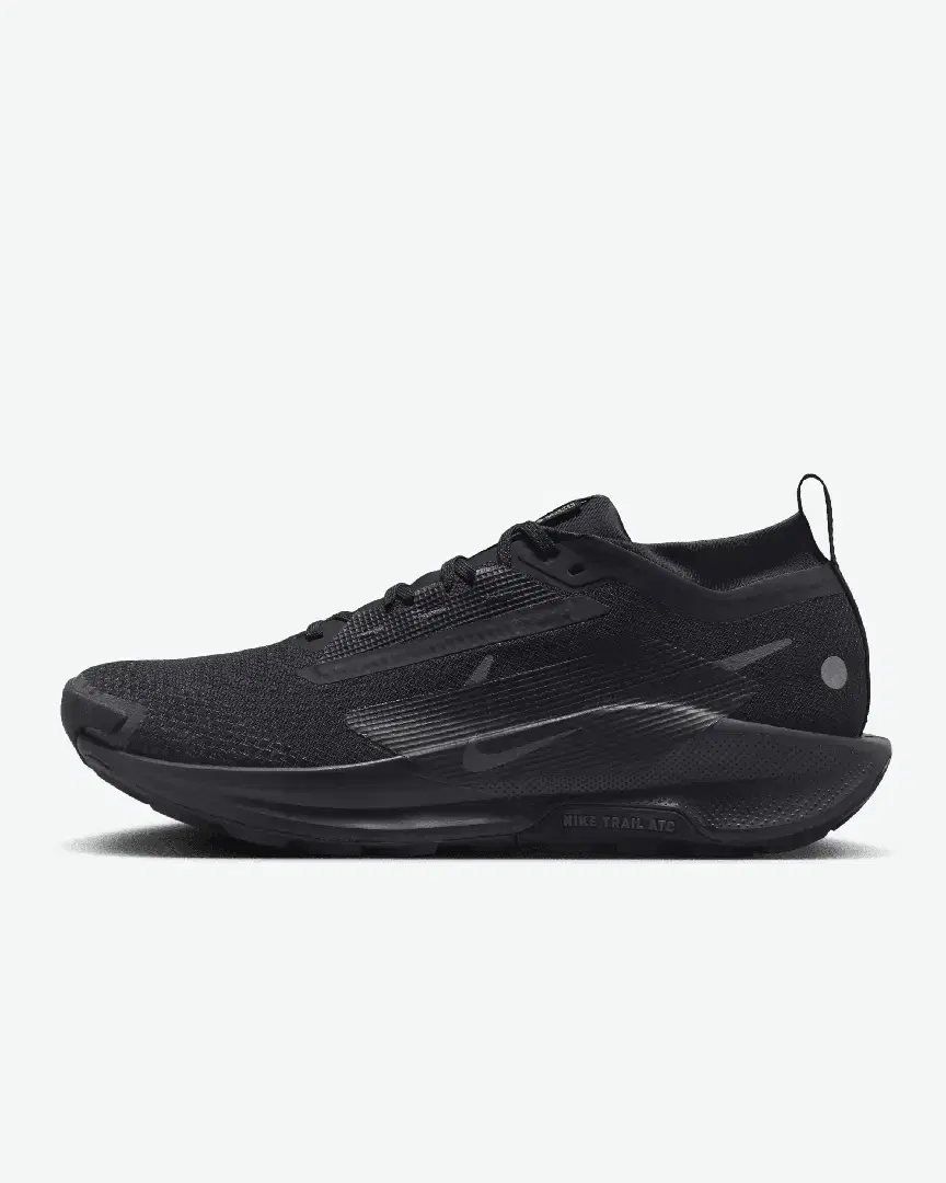 Nike Pegasus Trail 5 Gore-Tex M - FQ0908-002 (0) au meilleur prix !