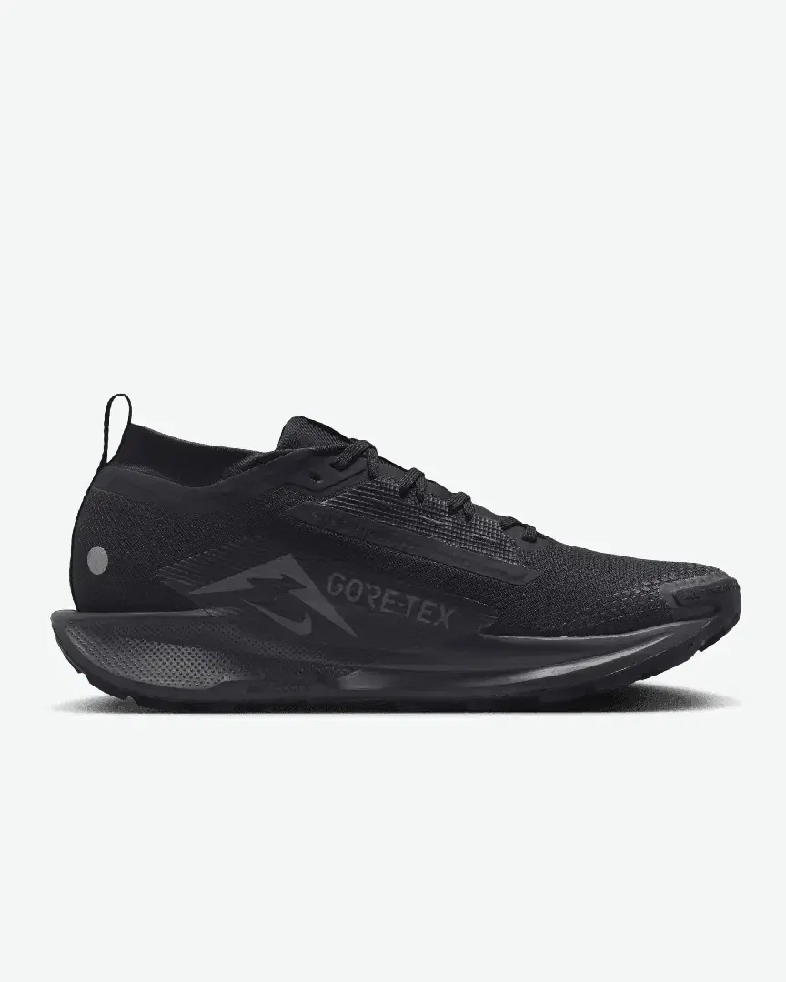 Nike Pegasus Trail 5 Gore-Tex M - FQ0908-002 (2) au meilleur prix !