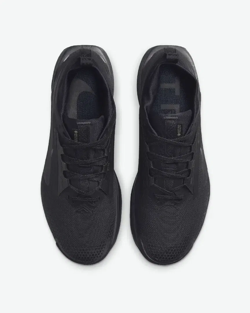 Nike Pegasus Trail 5 Gore-Tex M - FQ0908-002 (3) au meilleur prix !