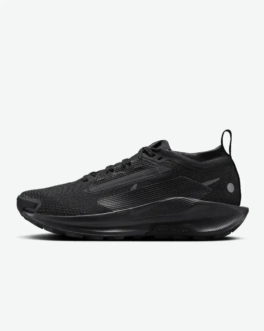 Nike Pegasus Trail 5 Gore-Tex W