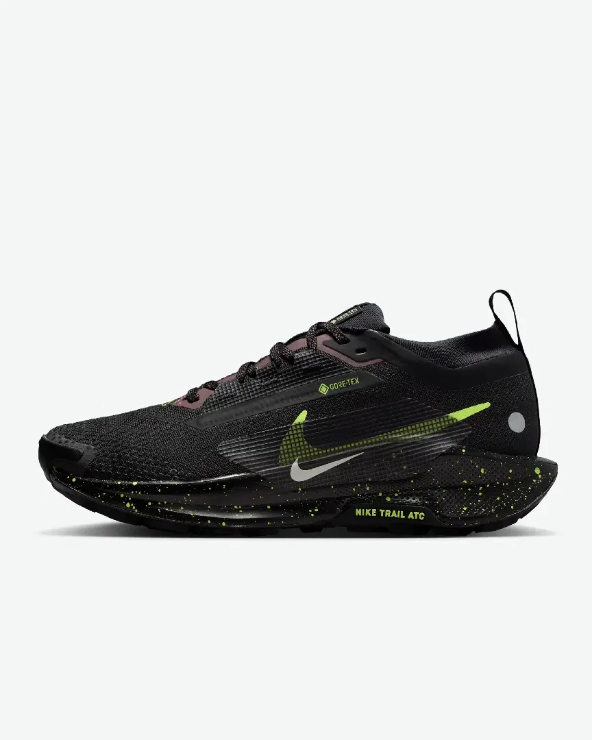 Nike Pegasus Trail 5 Gore-Tex W