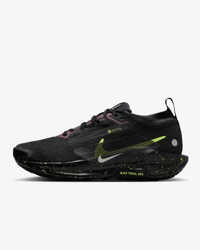 Nike Pegasus Trail 5 Gore-Tex W