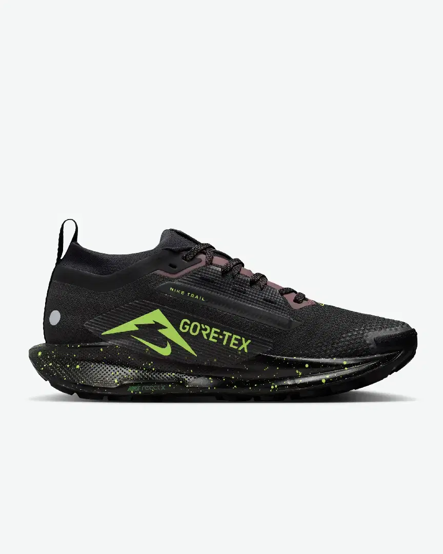 Nike Pegasus Trail 5 Gore-Tex W - FQ0912-009 (2) au meilleur prix !