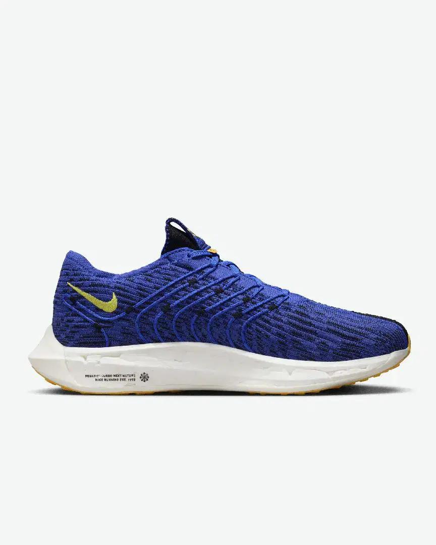 Nike Pegasus Turbo Next Nature M - DM3413-401 (2) au meilleur prix !