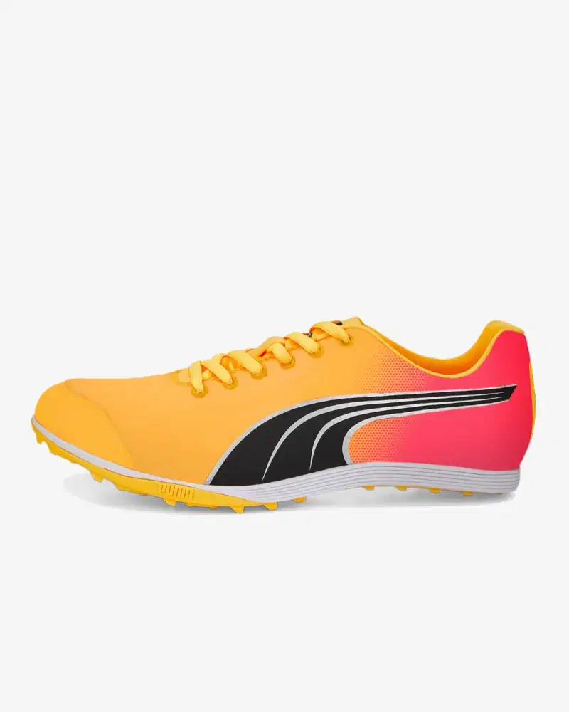 Puma EvoSPEED Crossfox 4 - Unisex (50) au meilleur prix !