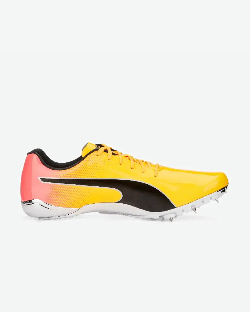 Puma evoSPEED Electric 13 - 377000-01 (4) au meilleur prix !