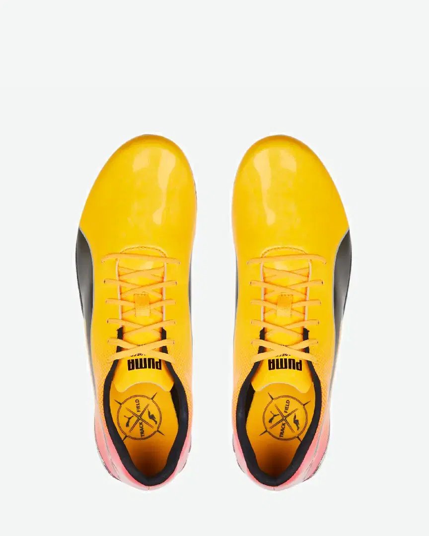 Puma evoSPEED Electric 13 - 377000-01 (5) au meilleur prix !