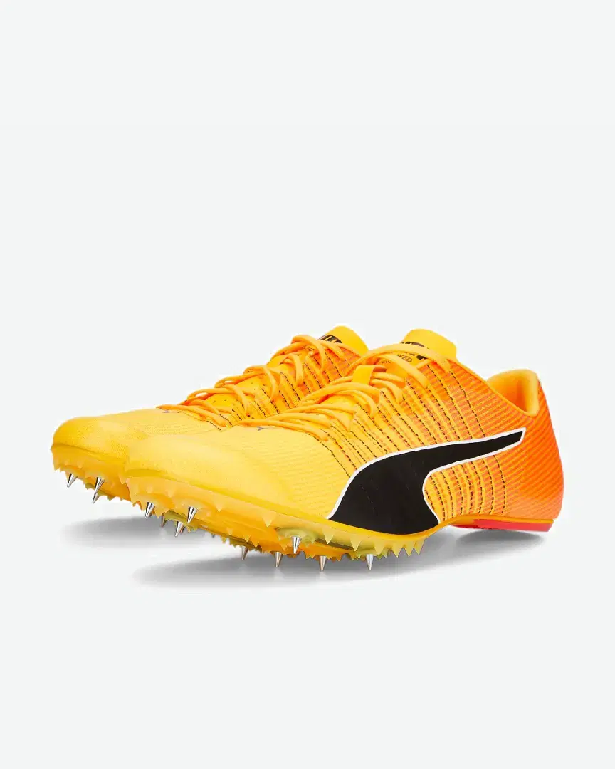 Puma Evospeed Tokyo Future 4 - 376922-01 (1) au meilleur prix !