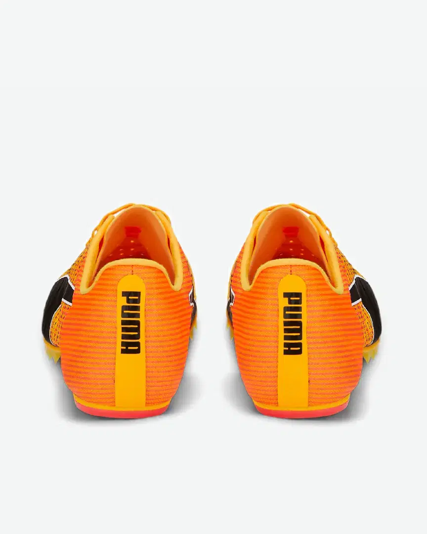 Puma Evospeed Tokyo Future 4 - 376922-01 (2) au meilleur prix !