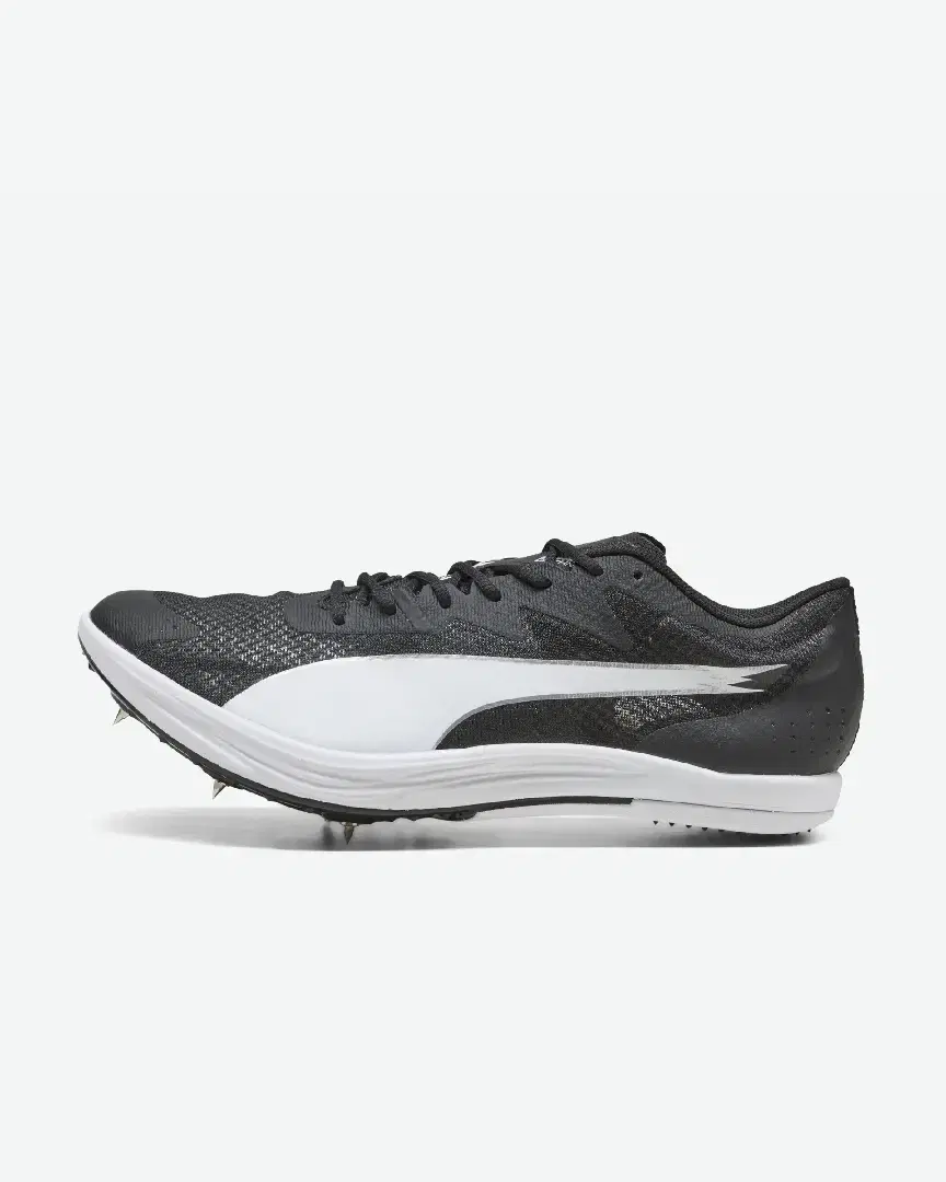 Puma Longue Distance Evospeed - Unisex (42) au meilleur prix !