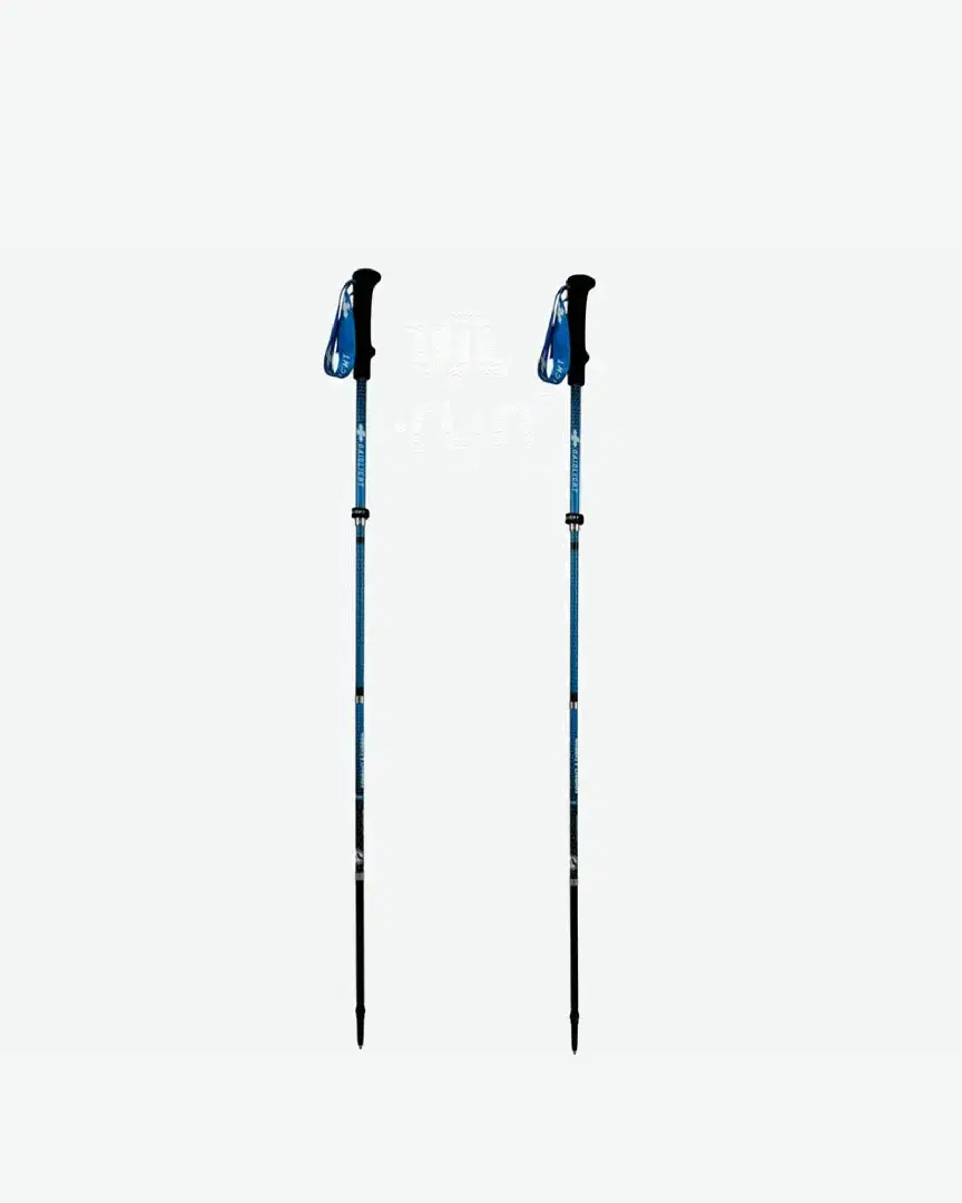 Bastones de marcha Raidlight Compact Carbon Ultra Evo - Unisex (43) au meilleur prix !