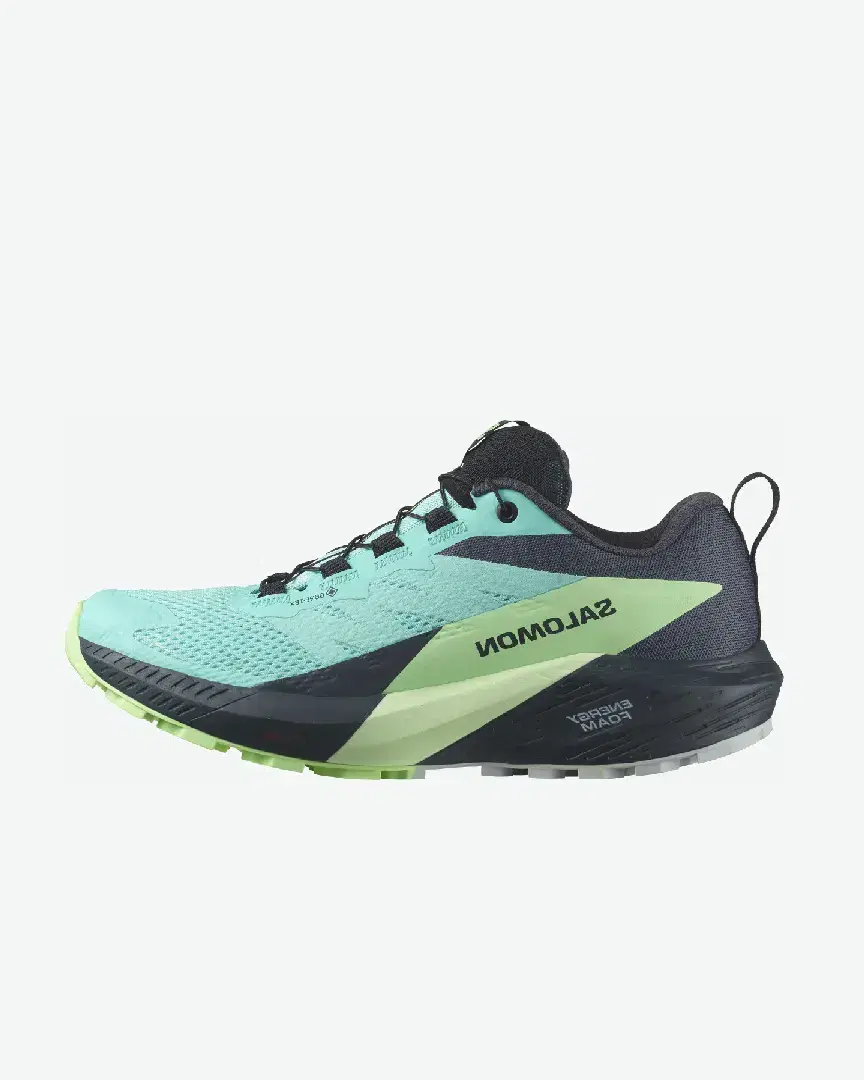 Salomon Sense Ride 5 Gtx W - Women (9) au meilleur prix !