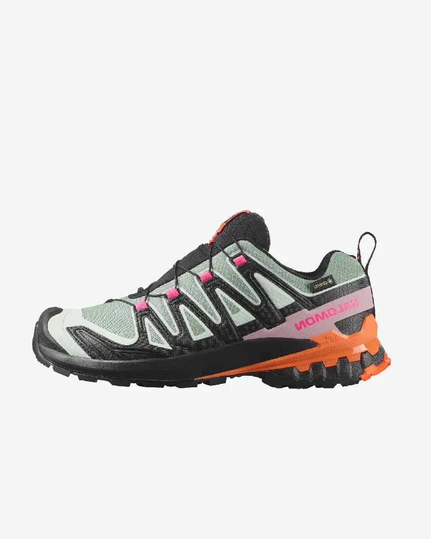 Salomon Xa Pro 3D V9 Gore-Tex W