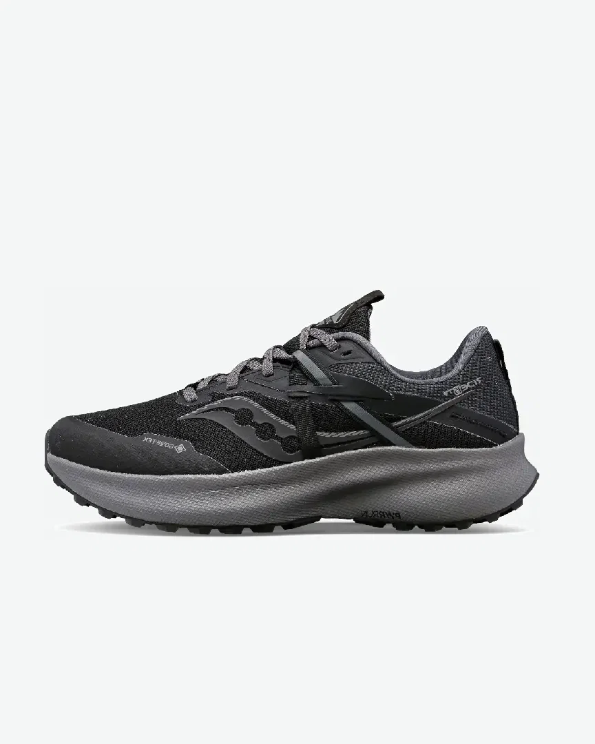 Saucony Ride 15 Tr Gtx W